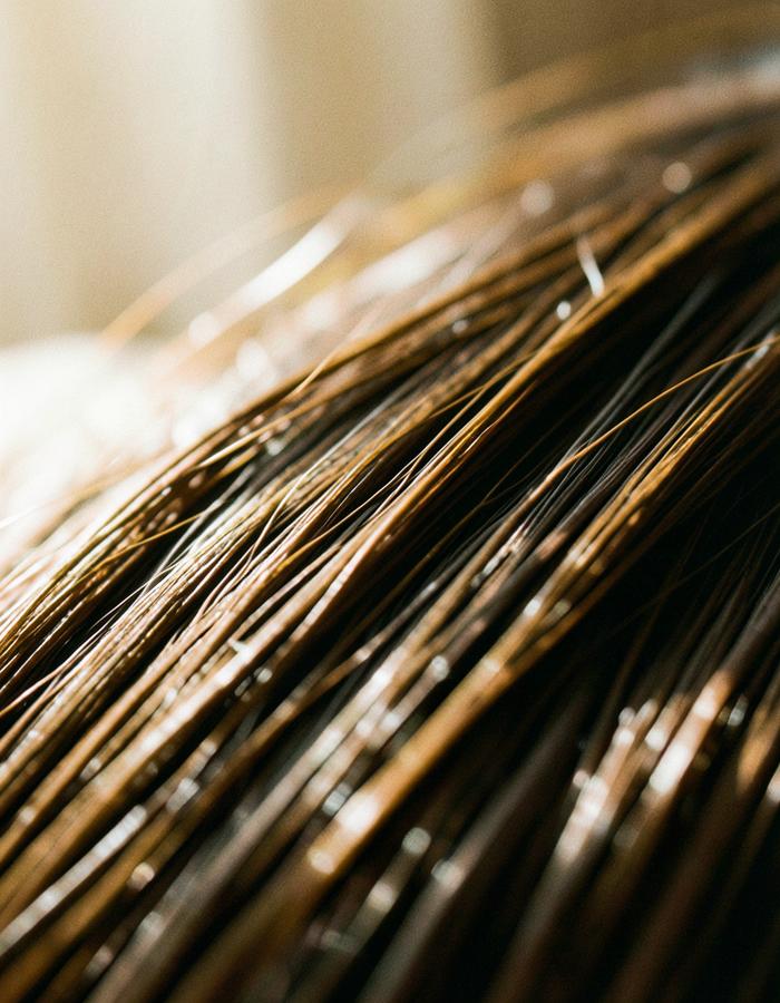 Dettaglio ravvicinato di capelli sani illuminati dalla luce naturale