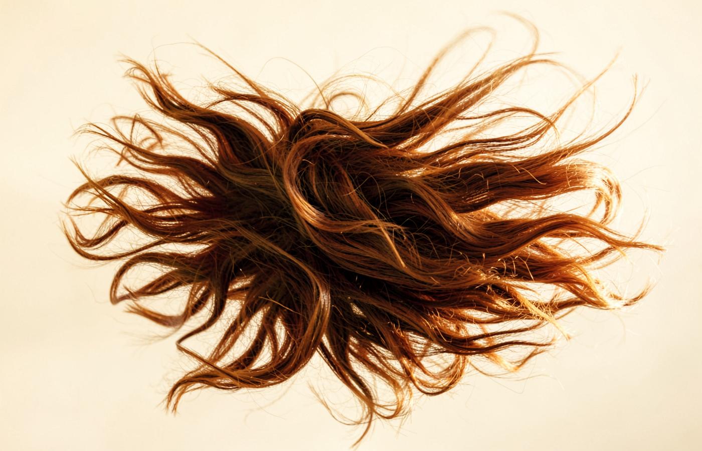 Studio editoriale del movimento dei capelli su fondo avorio